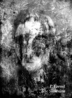 P. Formš - Noc Slavěnina